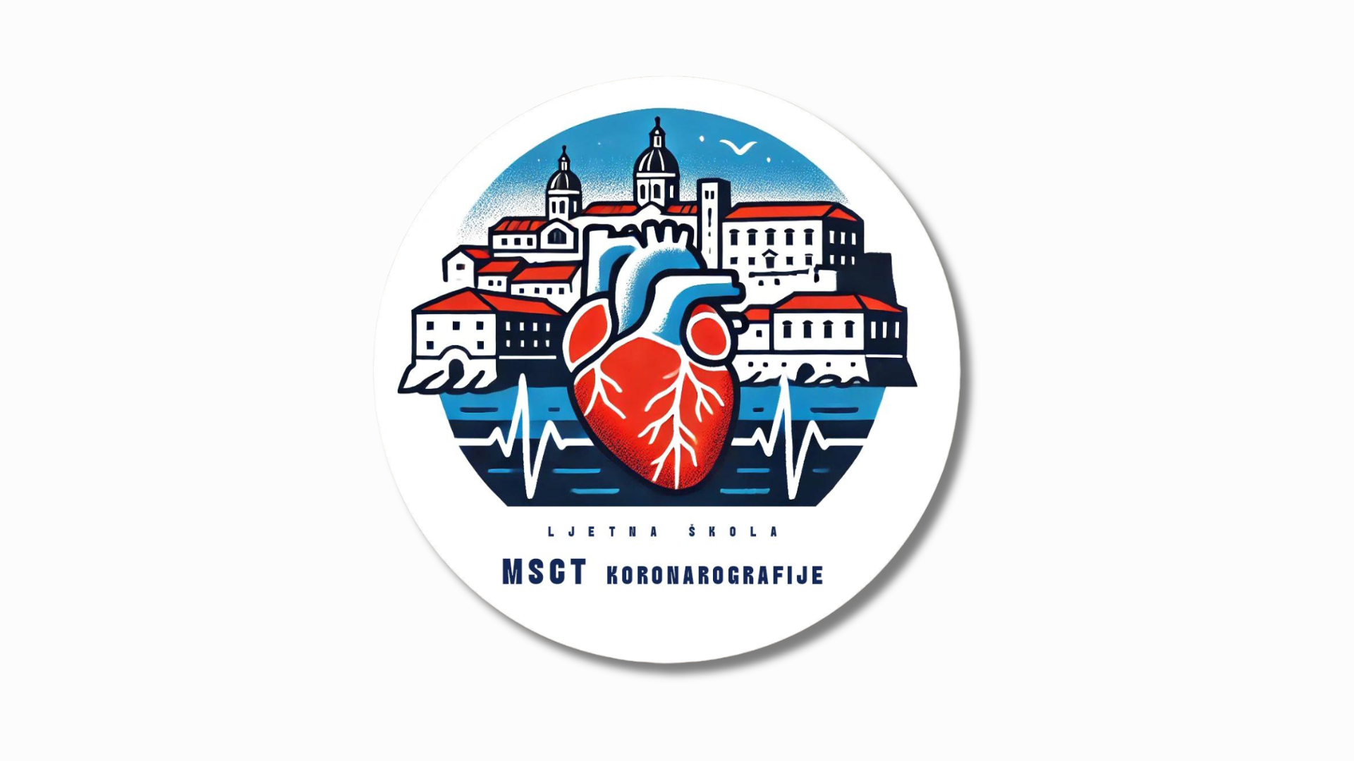 Međunarodna ljetna škola MSCT koronarografije