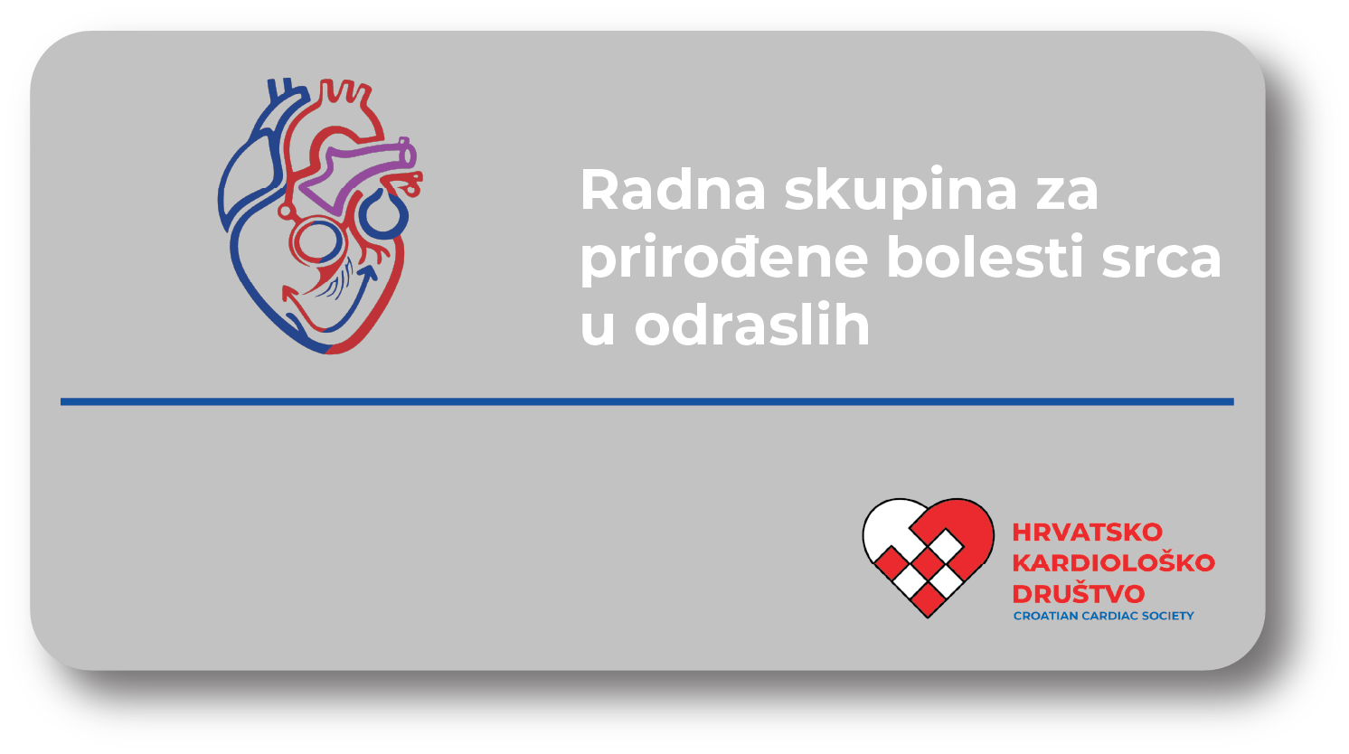 Radna skupina za prirođene bolesti srca u odraslih (Working Group on Adult Congenital Heart Disease)