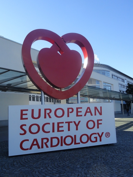 ESC kongres 2012.